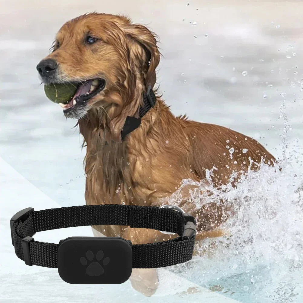PetTrack™ Smart Finder