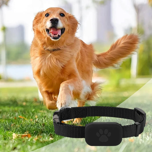 PetTrack™ Smart Finder